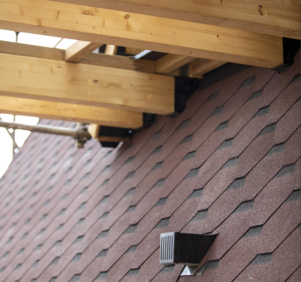 شینگل - تصویر 12