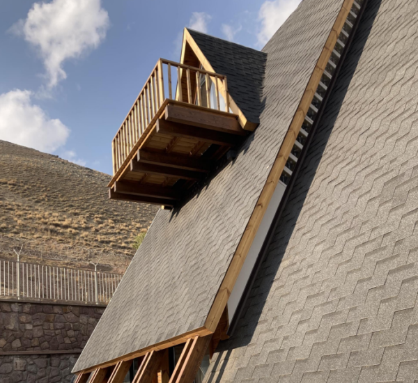 شینگل - تصویر 15