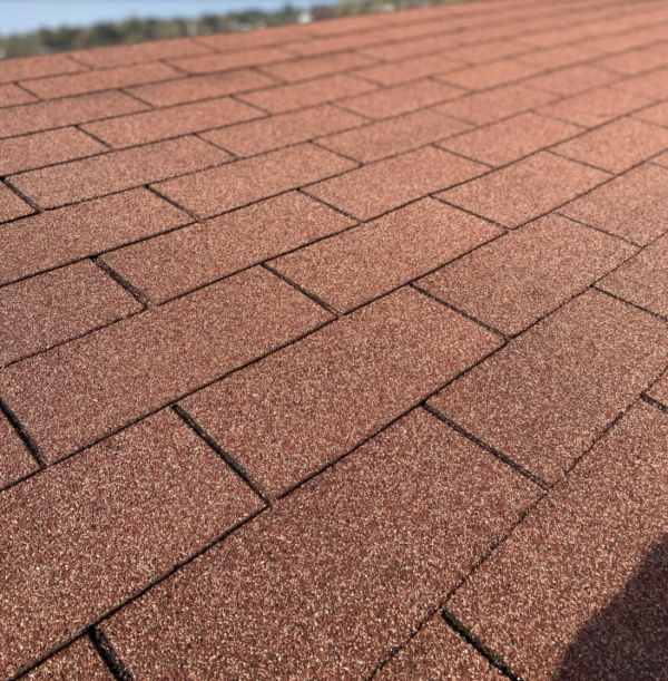 شینگل - تصویر 17