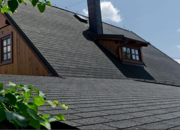 شینگل - تصویر 18